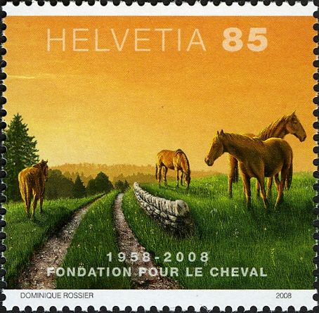 Track and Four Horses (Equus ferus caballus)