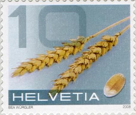 Wheat
