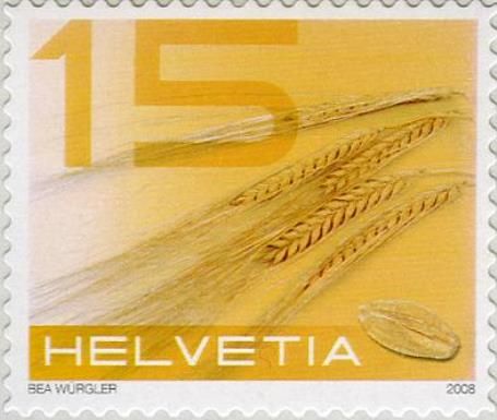 Barley