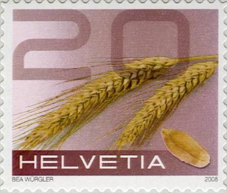 Rye