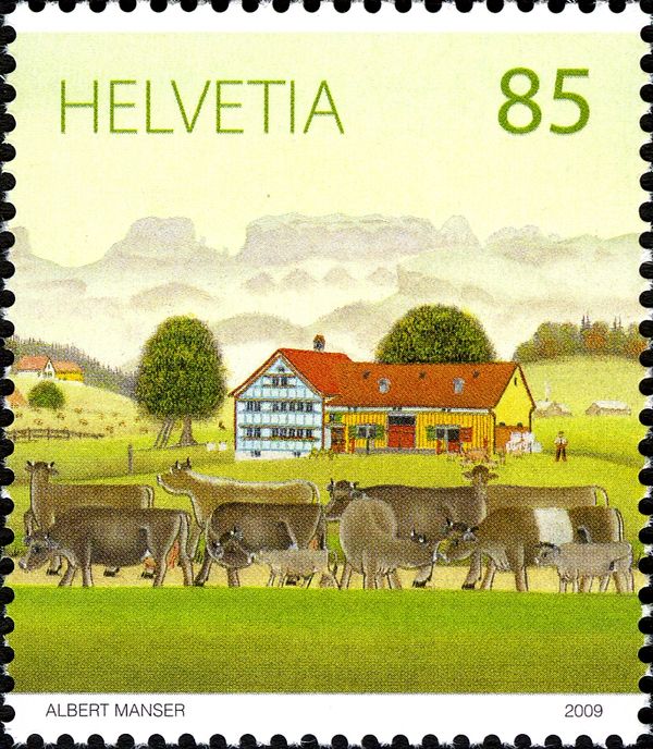 Cows and Calves
