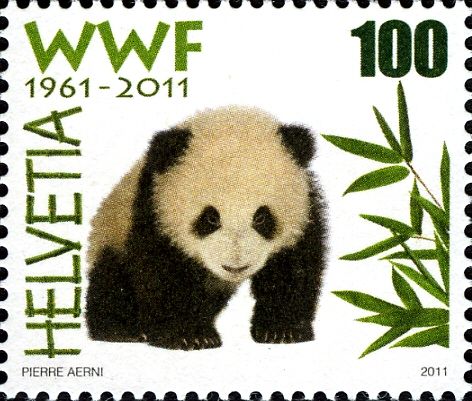 Giant Panda (Ailuropoda melanoleuca)