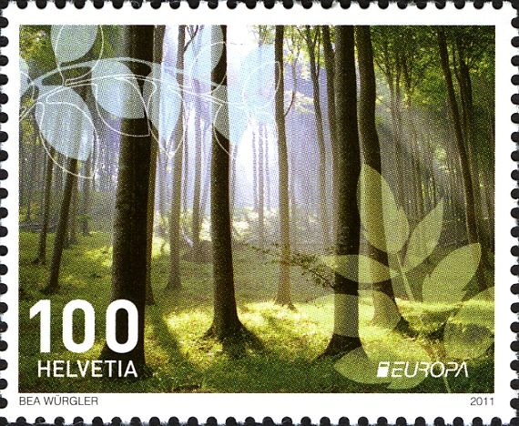 Forests