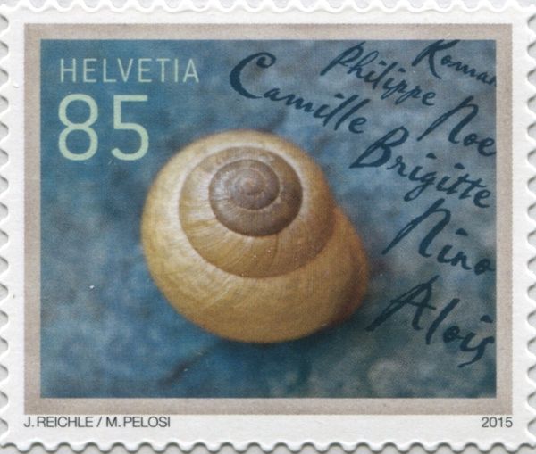 Snail Shell (Sympathies)