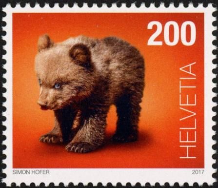 Bear