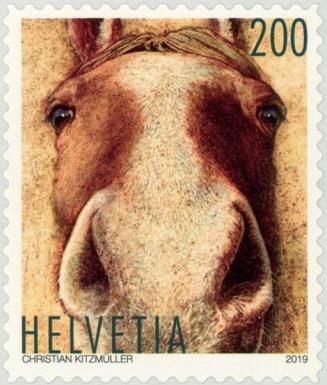 Horse Portrait