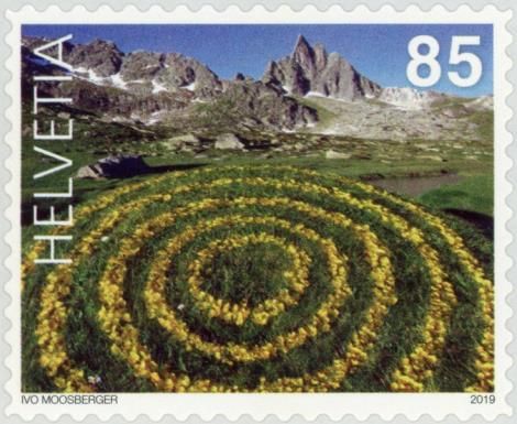 Rings of Buttercups, Ticino