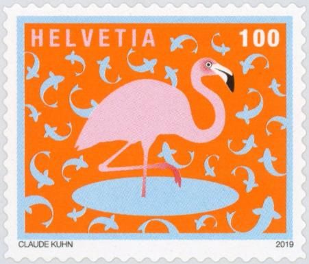 Flamingo