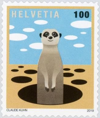 Meerkat