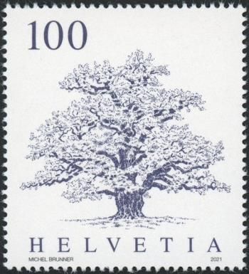 Oak