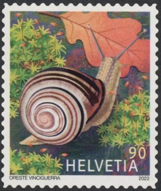 Brown-lipped Snail (Cepaea nemoralis)