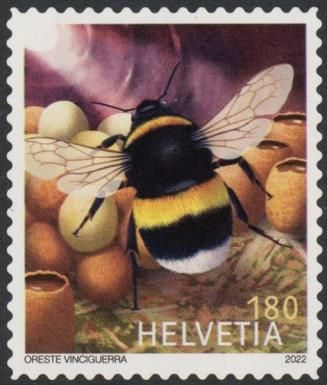 Bumblebee