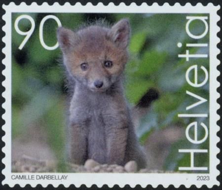 Fox
