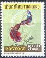 Siamese Fighting Fish (Betta splendens)