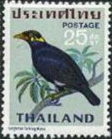 Common Hill Myna (Gracula religiosa)