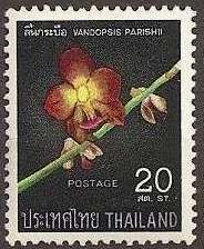 Vandopsis parishii