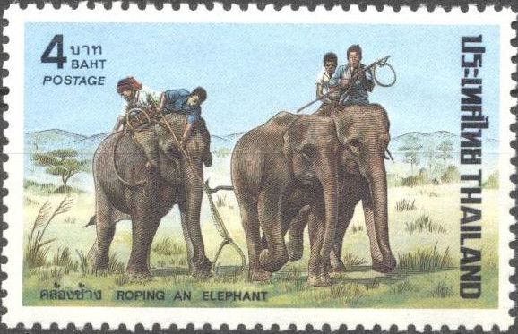 Trapper with Asian Elephant (Elephas maximus)