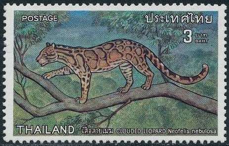 Clouded Leopard (Neofelis nebulosa)