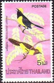 Sultan Tit (Melanochlora sultanea)