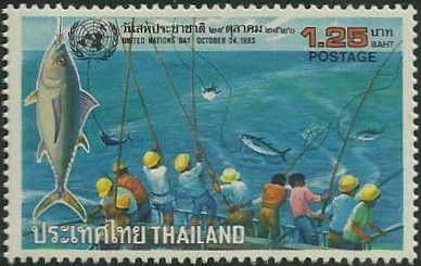 Fishing for tuna