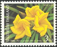 Thevetia peruviana