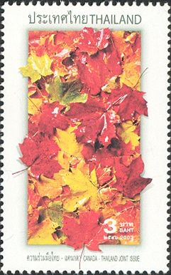 Maple, Canada's national tree