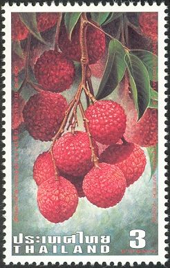 Lychee