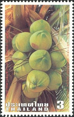 Coconuts