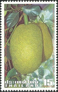Jackfruit