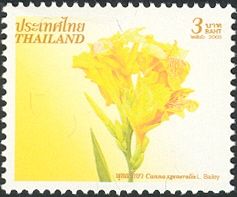 Canna xgeneralis