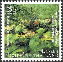 Khao Luang National Park Nakhon Si Thammarat