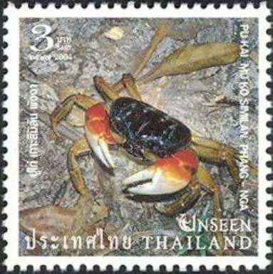 Crustacean, Mu-Ko-Similan Park, Province Phang Nga