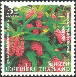 Changkra Wild Orchid Park - Khon Kaen