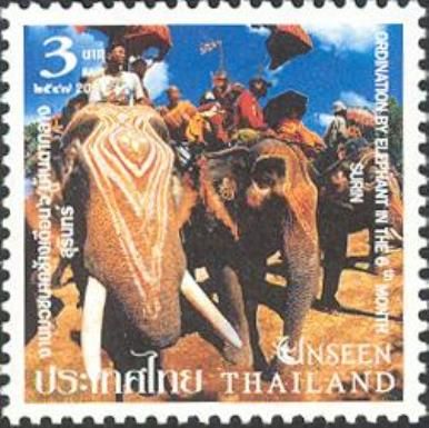 Asian Elephant (Elephas maximus) with Riders, Province Surin