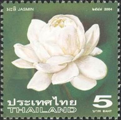 Jasmin