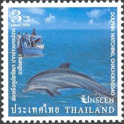 Dolphin Watching, Chachoengsao