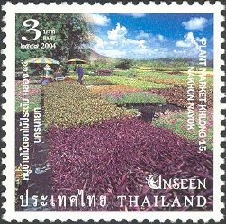 Plant Market Khlong 15, Nakhon Nayok