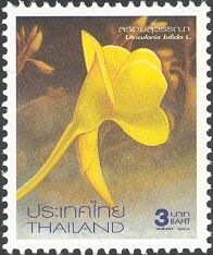 Flowers - Utricularia bifida