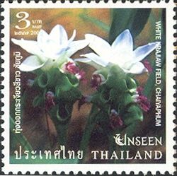 White Krajiaw field, Chaiyaphum