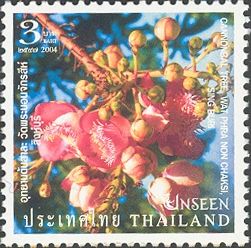 Cannonball Tree, Wat Phra Non Chaksi, Sing Buri