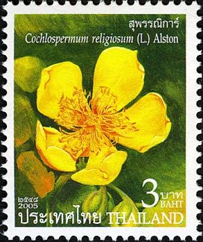 Cochlospermum religiosum