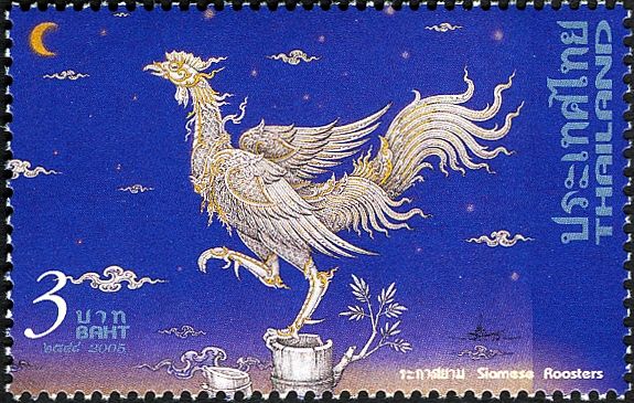 Divine Rooster