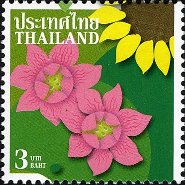 Flora (Flowers - General)