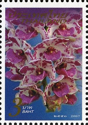 Flora (Orchids)