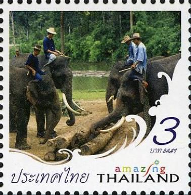 Asian Elephant (Elephas maximus) moving Logs