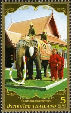 (White) Asian Elephant (Elephas maximus)