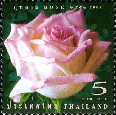 Flora (Roses)
