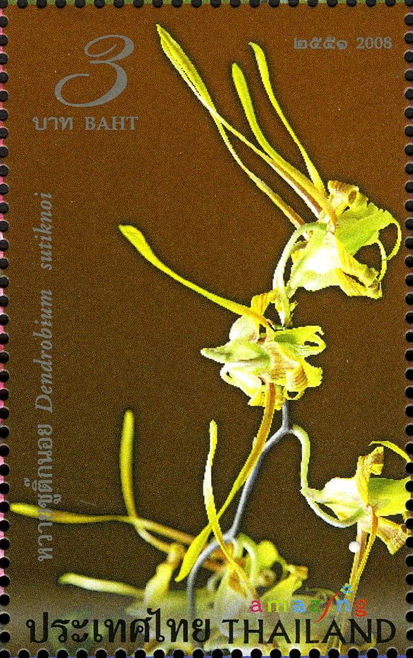 Flora (Dendrobium sutiknoi)
