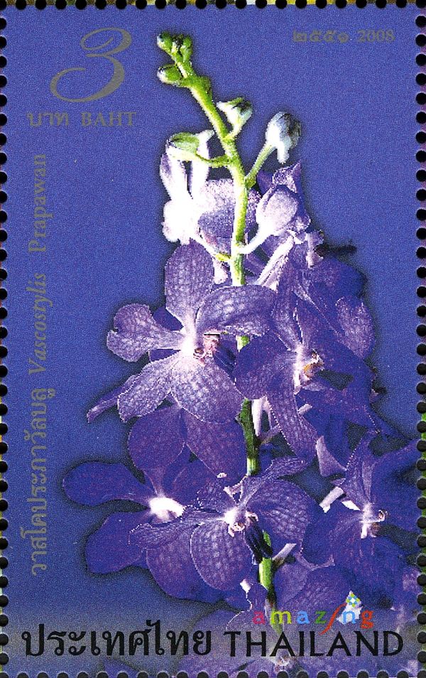 Flora (Vascostylis Prapawan)