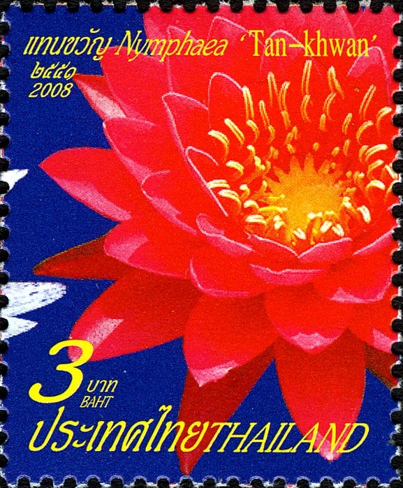 Tan-Khwan